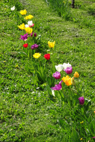 Ostern 2025