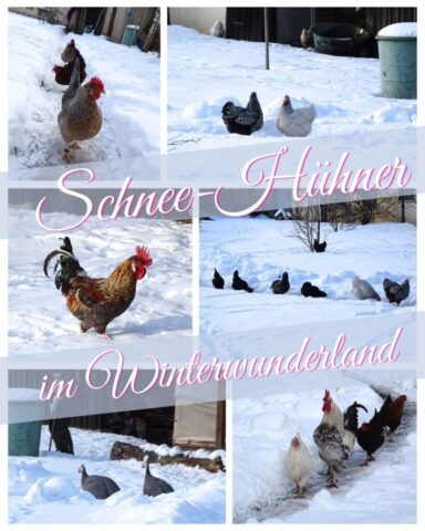 Foto: Karmel Himmelspforten - Winterwunderland