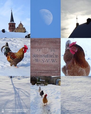 Foto: Karmel Himmelspforten - Winterwunderland12