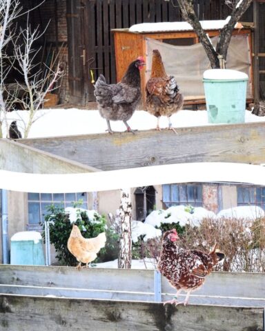 Foto: Karmel Himmelspforten - Winterwunderland9